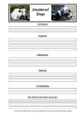 Ziege-Steckbriefvorlage.pdf